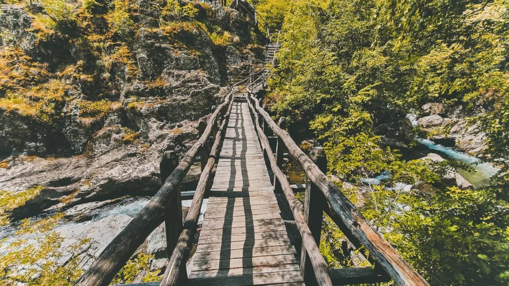 Дървен мост, под който минава Бяла река