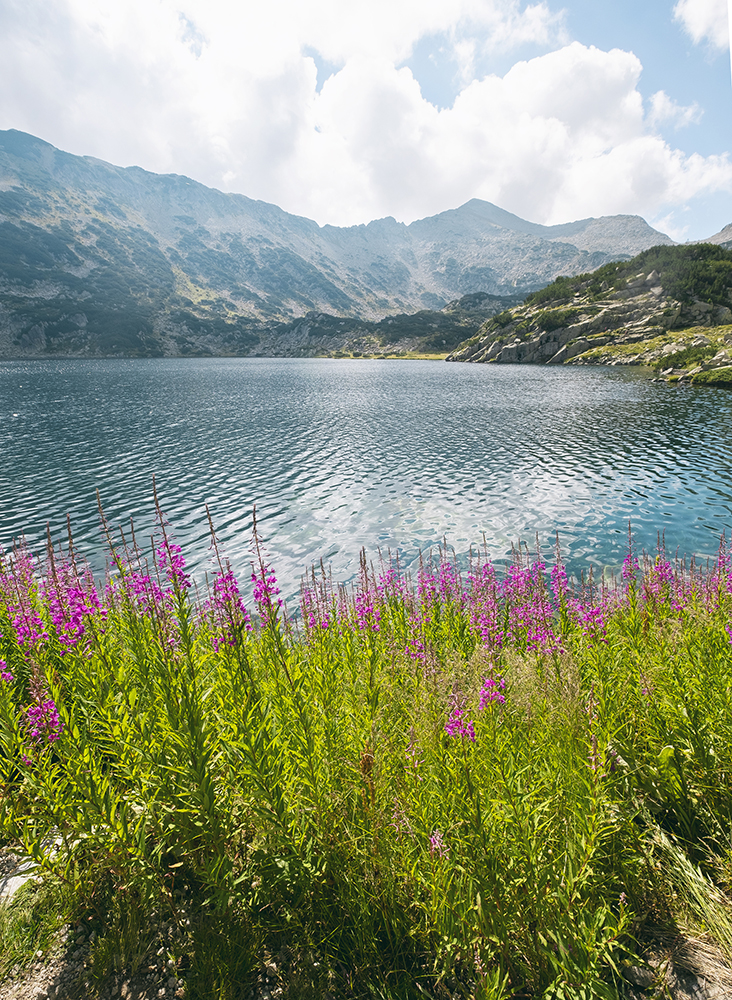 Растителност на преден фон и Попово езеро на заден.