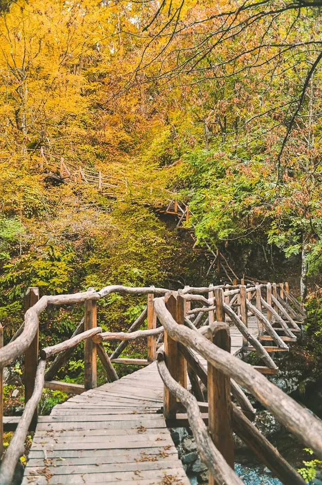 Първите дървени мостчета на екопътека Бяла река