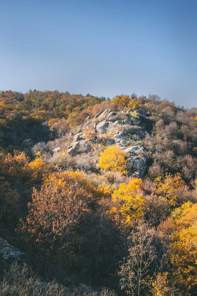 Есен в Средна гора