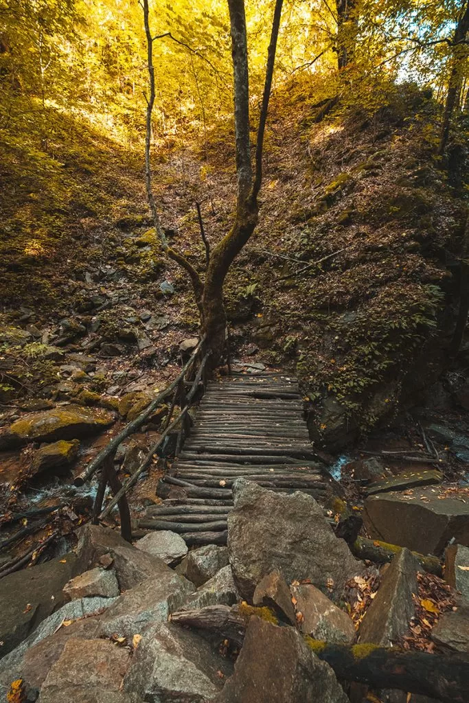Дървен мост и края на пътеката до Лешнишки водопад.