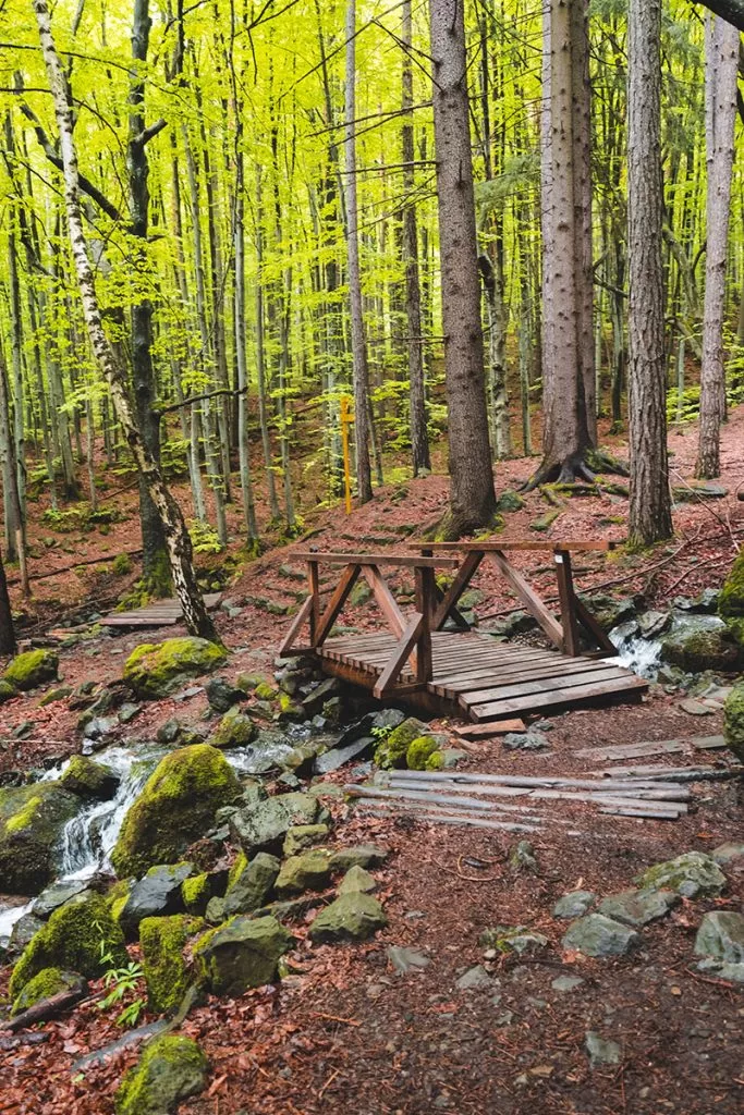 Река и дървен мост към Алекови водопади във Витоша