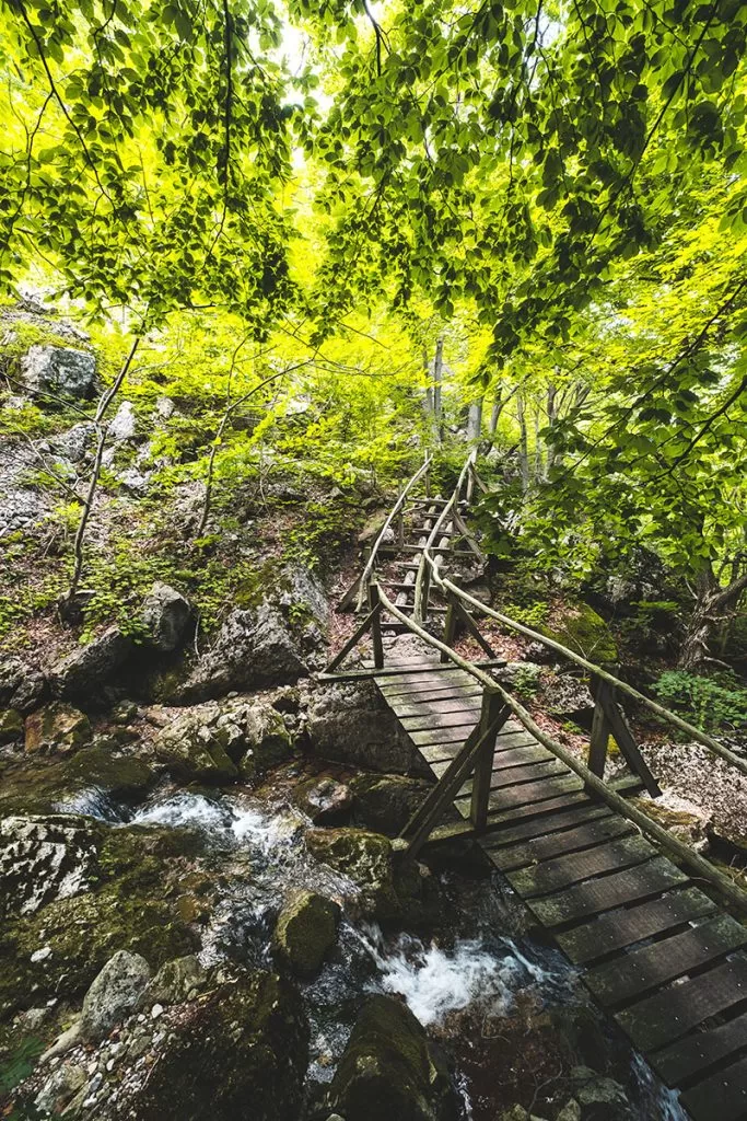 Дървени мостове по пътеката към Водопад Боров камък във Врачански Балкан