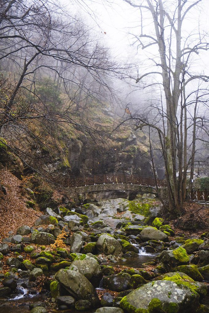 Мостче по пътеката до Костенски водопад