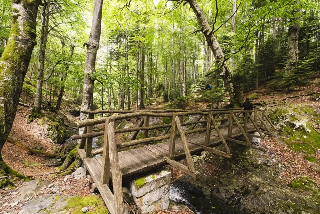 Пътеката към Карловско пръскало, която минава през дървен мост