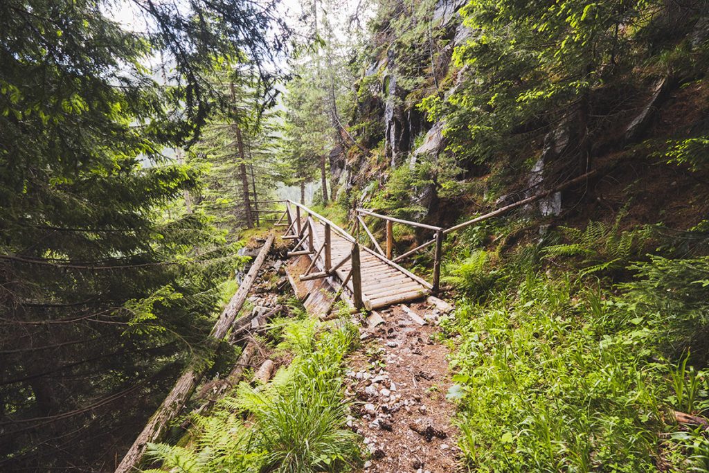 Дървено мостче по пътеката към хижа Марица