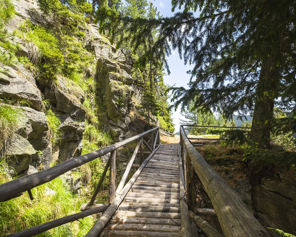 Дървен мост в гората по пътеката към хижа Марица