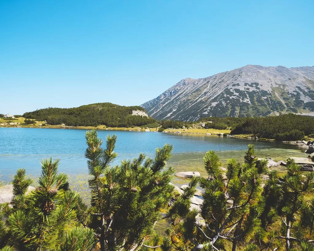 Муратово езеро на преден план с клекове и връх Тодорка на заден.